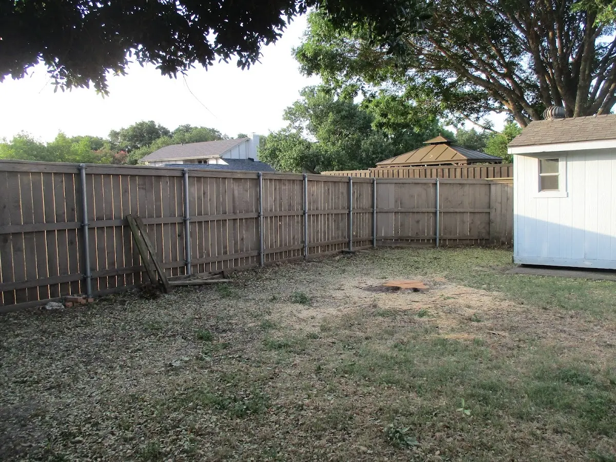 Cleared yard after professional tree removal in Reynolds