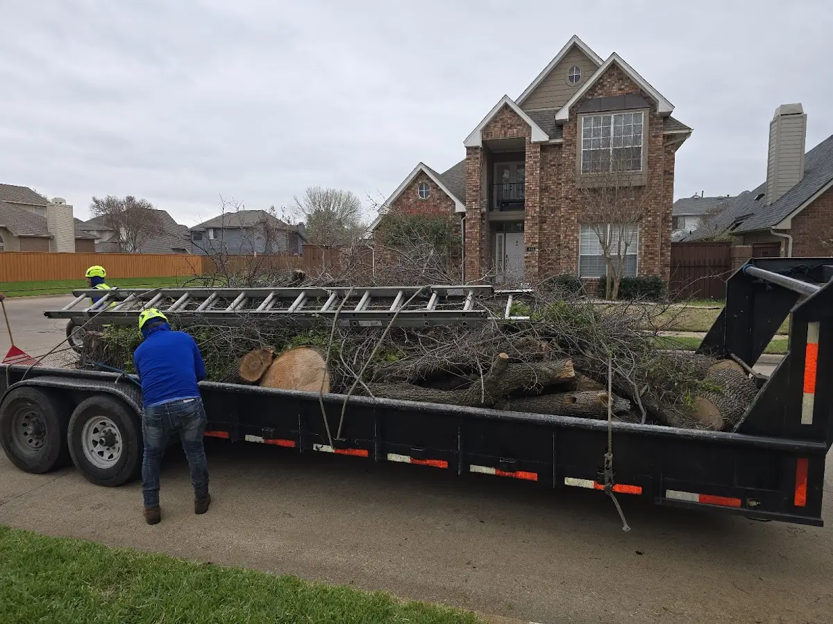Expert Tree Pest Control with proper safety equipment in Reynolds
